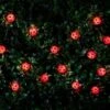 B&M 30 Insect Solar String Lights - Ladybird -B and M Store 265270 20 Nature String Solar Lights Ladybird1