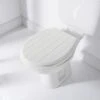 B&M Tongue & Groove Toilet Seat -B and M Store 332127 addis tongue and groove toilet seat