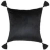 B&M Ariana Velvet Cushion -B and M Store 367560 ariana velvet cushion