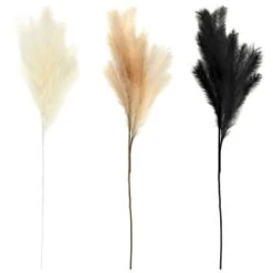 B&M Pampas Stem - Cream -B and M Store 372800 395541 394382 pamas stem group