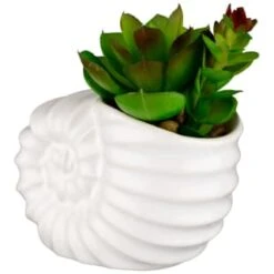 B&M Scandi Shore Small Shell Succulent -B and M Store 380110 small shell succulent 3