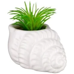 B&M Scandi Shore Small Shell Succulent -B and M Store 380110 small shell succulent 6