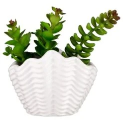 B&M Scandi Shore Small Shell Succulent -B and M Store 380110 small shell succulent 7
