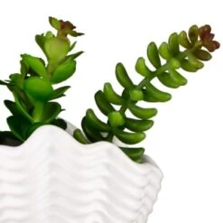 B&M Scandi Shore Small Shell Succulent -B and M Store 380110 small shell succulent 8