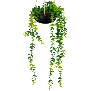 B&M Hanging Trailing Plant In Ceramic Pot 3 B&M Hanging Trailing Plant In Ceramic Pot