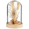 B&M Dried Flowers In Cloche - Natural -B and M Store 380163 dried flowers in cloche