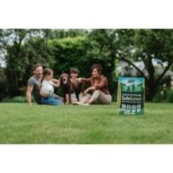 B&M Westland Safe Lawn Spreader Box 80m2 -B and M Store 384000 safe lawn spreader box 80m 4