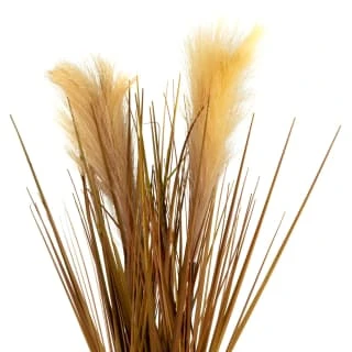 B&M Pampas Grass In Stone Pot - Neutral 4 B&M Pampas Grass In Stone Pot - Neutral - Image 2