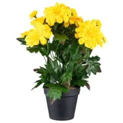 B&M Zinnia Plant Pot - Yellow