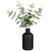 B&M Eucalyptus In Black Pot -B and M Store 394336 eucalyptus in black pot