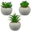 B&M Assorted Small Concrete Succulents -B and M Store 394713 small concrete succulent group