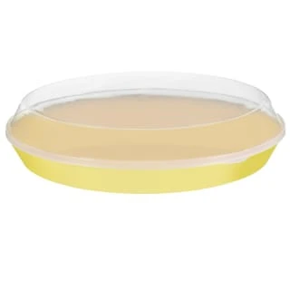 B&M Food Tray With Clear Lid - Yellow 3 B&M Food Tray With Clear Lid - Yellow