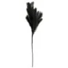 B&M Pampas Stem - Black -B and M Store 395541 pamas stem black